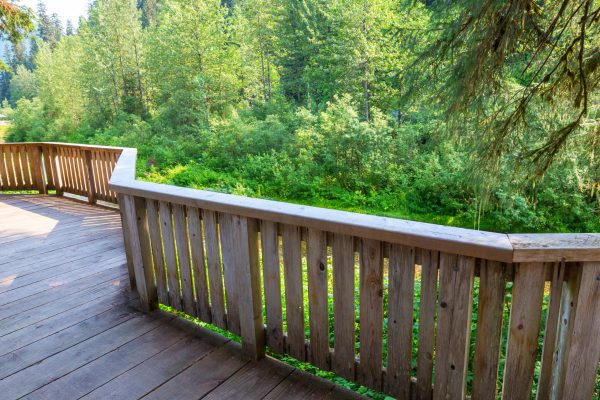 Wooden boardwalk in the forest